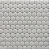 PTPF-DENX-P